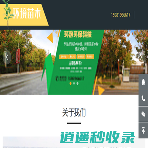 绿化苗木_桂花树_香樟树_红叶石楠_环静苗木有限公司