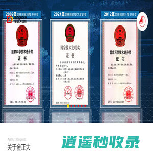 金正大集团