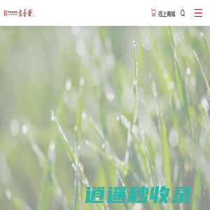 上海老香斋食品有限公司