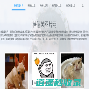 蓓俪芙图片网