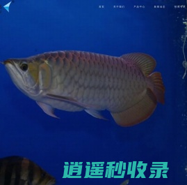 光特亿 caperplus