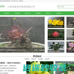 华中药用植物园-华中药用植物园