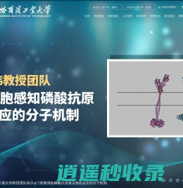 哈尔滨工业大学