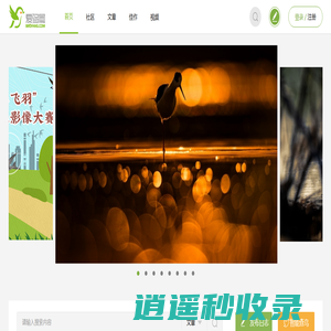 爱鸟网-首页