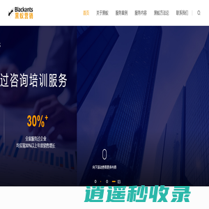 广州黑蚁营销管理咨询有限公司