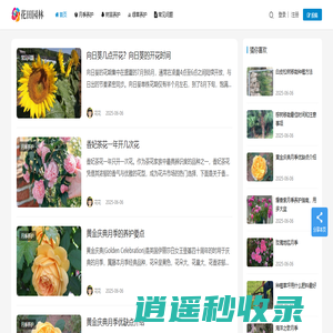 月季苗木批发基地_园林绿化苗木价格_花田园林
