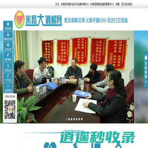 米易大调解网