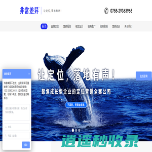 深圳品牌营销策划全案公司-非常差异
