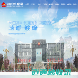 山东泰开电缆有限公司