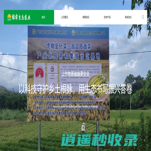 汕尾海丰绿舜生态农业农场|虎噉金针菜种植基地|善美忘忧谷与绿舜农业园体验|皇老农土特产|亲子研学采摘体验|乡村餐厅民宿与团建党建|文旅融合生态旅游示范点