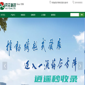 陕西开元制药有限公司网站