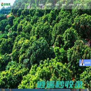 名洋能源