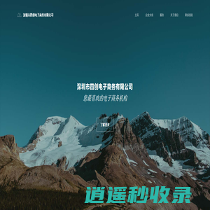 深圳市四创电子商务有限公司