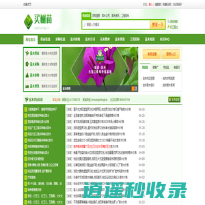 苗木价格|苗木行情|绿化苗木价格|苗木求购信息|苗木供应信息|买树苗网