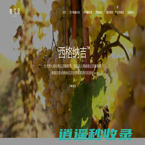 绍兴帕乌克进出口有限公司