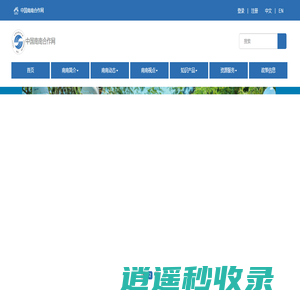 中国南南合作网