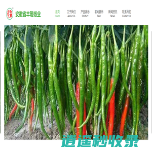 安徽省丰隆椒业