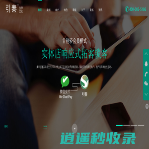 引秦 - 引秦