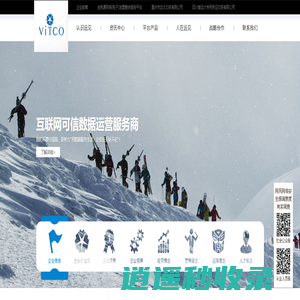 重庆远见信息技术有限公司