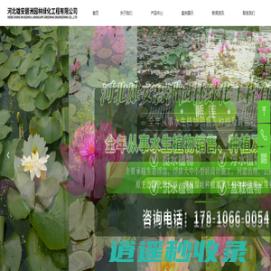 首页-河北雄安碧洲园林绿化工程有限公司