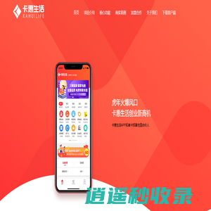 智网网络