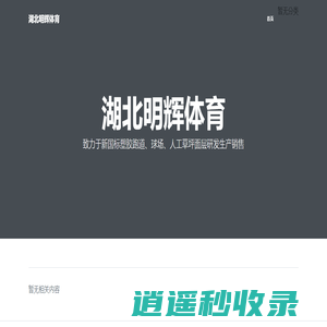 湖北明辉体育