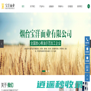 山东面包粉|山东面粉厂|山东面包粉厂-烟台宝洋面业有限公司
