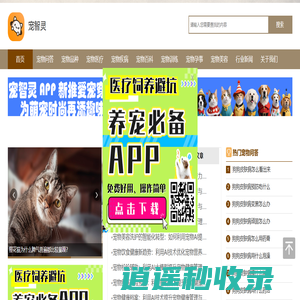 免费宠物医生在线咨询-24小时宠物医院问诊-新手养猫狗异宠