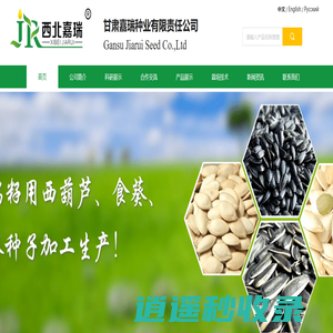 甘肃嘉瑞种业有限责任公司