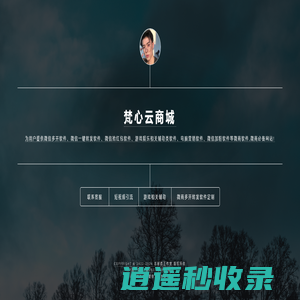 梵心云商城 - 微商软件辅助定制