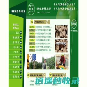 新会广陈皮官方网站,新会陈皮,新会陈皮网站,新会广陈陈皮