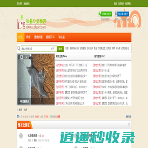 张家口狗狗网丨张家口狗市丨张家口买卖狗丨张家口宠物服务丨张家口宠物美容丨张家口宠物医院丨张家口狗狗领养 -  Powered by Discuz!