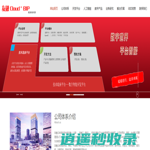 友融云平台 - 友融云平台,融资管理系统