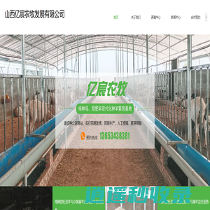 亿宸农牧丨种母羊培育丨种羊繁育基地丨饲料供应商