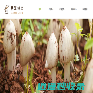 丽江林杰生物资源开发有限责任公司