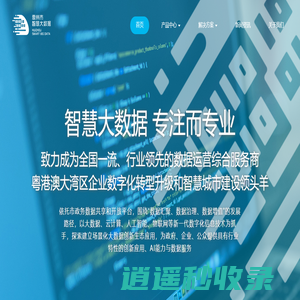 智慧大数据_智慧大数据