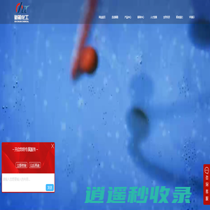 新船化工（沈阳）股份有限公司-新船化工（沈阳）股份有限公司