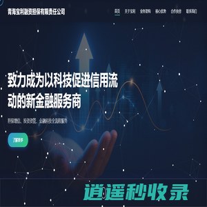 青海宝利融资担保有限责任公司