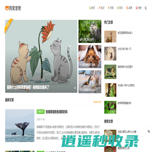 狗窝宠物网 - 分享实用的宠物知识