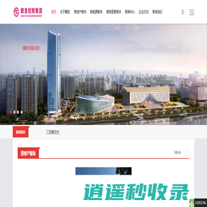 江西赣发控股集团 大宗商品  九颂控股集团 房地产 房地产 - 江西赣发控股集团
