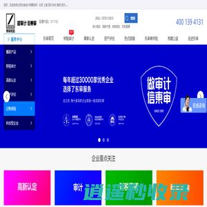 东审-提供一站式财税问题解决方案