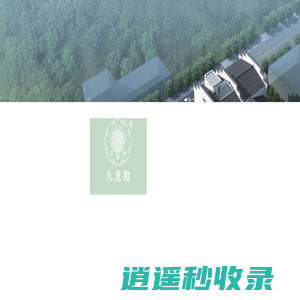 武夷山市九龙袍茶业有限公司