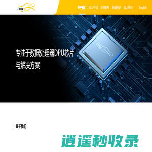 云豹智能【云豹智能】专注于云计算和数据处理器DPU芯片与解决方案