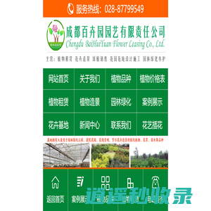 成都绿植租赁-植物租摆-花卉出租公司-办公室盆栽租赁价格表-成都百卉园园艺有限责任公司