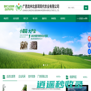 广西龙州北部湾现代农业有限公司-集食用菌种植生产、农产品加工等全产业链于一体的智能现代农业企业