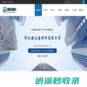 河北腾运密封件有限公司
