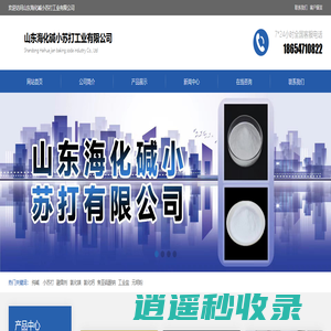 山东海化碱小苏打工业有限公司