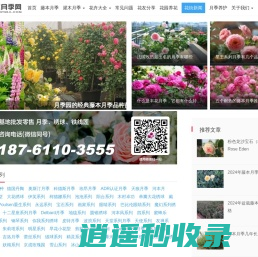 藤本月季网-月季知识分享网站-月季苗批发基地